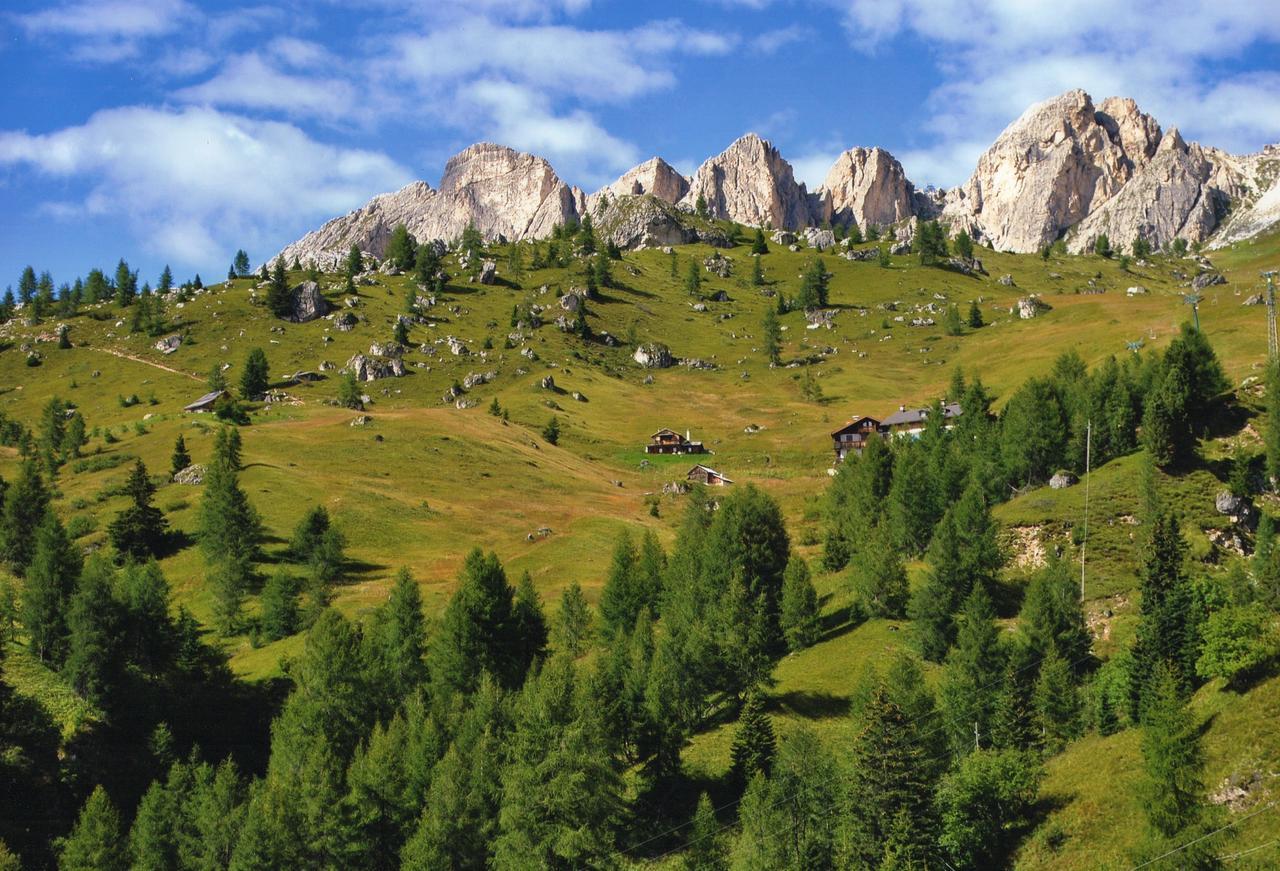 Hotel Principe Selva di Cadore Eksteriør bilde