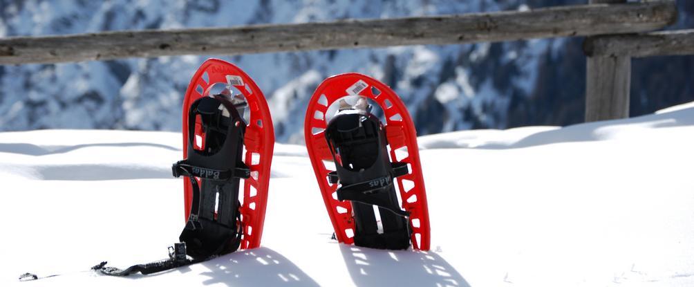 Hotel Principe Selva di Cadore Eksteriør bilde